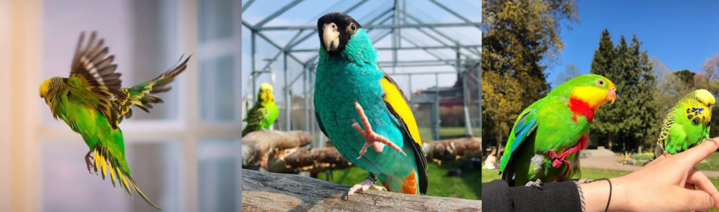 Is it time to clip Greg Bird's wings?